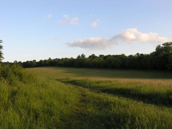 Nork park, Banstead